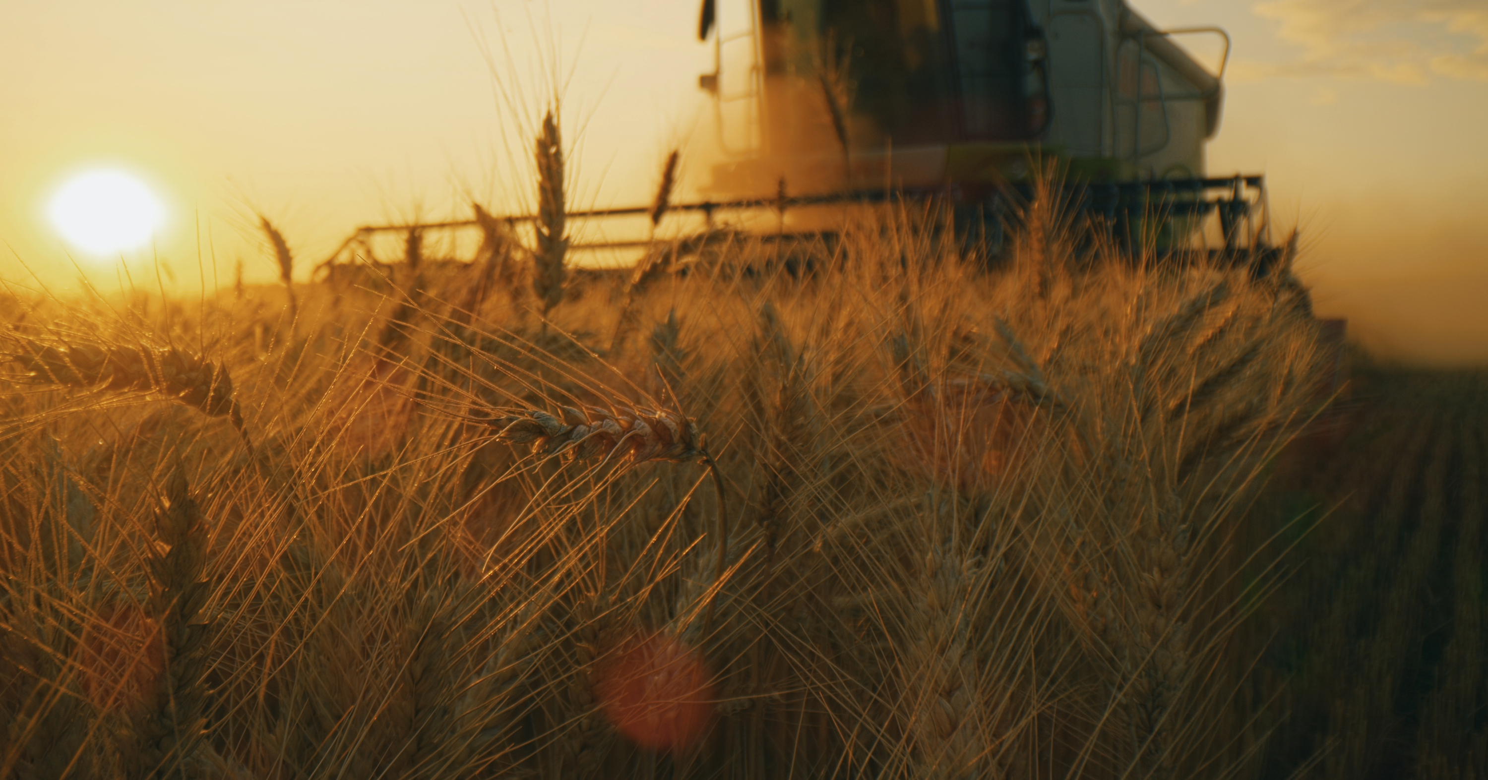 We Know Your Counterparties Infospectrum - Grain Harvest.